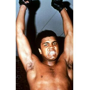 Umělecká fotografie Boxer Muhammad Ali (Cassius Clay) in 1973, (26.7 x 40 cm)