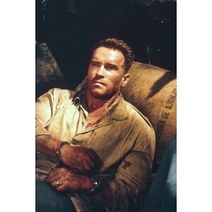 Umělecká fotografie Arnold Schwarzenegger, Collateral Damage, (26.7 x 40 cm)