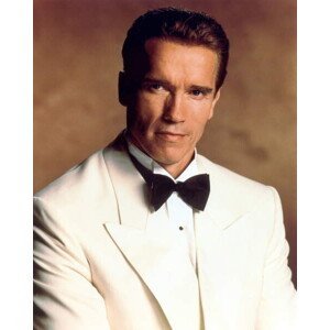 Umělecká fotografie True Lies, 1994 - Arnold Schwarzenegger, (30 x 40 cm)