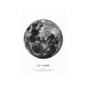 Plakát, Obraz - Finlay & Noa - Moon 1, (40 x 60 cm)