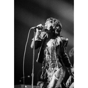 Umělecká fotografie Rolling Stones, 1973, (26.7 x 40 cm)