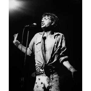 Umělecká fotografie Mick Jagger, (30 x 40 cm)