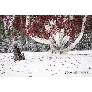 Umělecký tisk Game of Thrones - Weirwood, (40 x 26.7 cm)