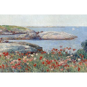 Obrazová reprodukce Poppies on the Isles of Shoals (Vintage Seaside Landscape / Seascape) - Frederick Childe Hassam, (40 x 26.7 cm)
