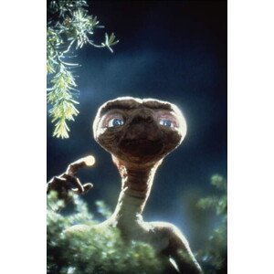 Umělecká fotografie E.T., (26.7 x 40 cm)