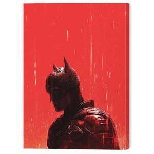 Obraz na plátně The Batman - Rain, (30 x 40 cm)