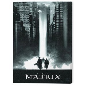 Obraz na plátně The Matrix - Lightfall, (60 x 80 cm)
