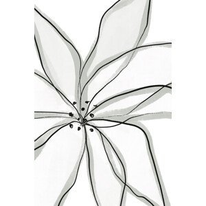 Ilustrace Fragile Flower, uplusmestudio, (26.7 x 40 cm)