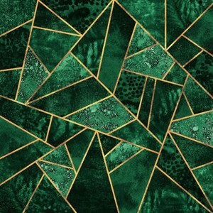 Ilustrace Deep Emerald, Elisabeth Fredriksson, (40 x 40 cm)