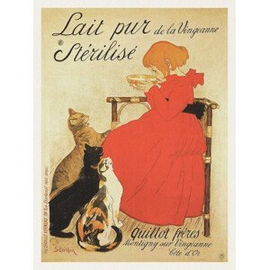 Obrazová reprodukce Lait pur Stérilisé (French Cat Poster) - Théophile Steinlen, (30 x 40 cm)