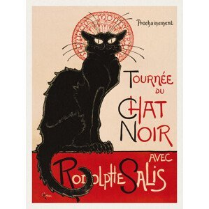 Obrazová reprodukce Tournée Du Chat Noir (The Black Cat) - Théophile Steinlen, (30 x 40 cm)
