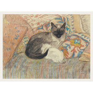 Obrazová reprodukce A Cat & Her Kittchens (Vintage French) - Théophile Steinlen, (40 x 30 cm)