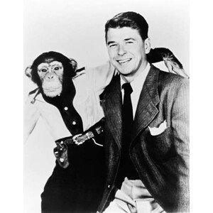 Umělecká fotografie Ronald Reagan And Bonzo, Hollywood, California, 1951, (30 x 40 cm)