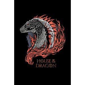 Umělecký tisk House of Dragon - Dragon in Fire, (26.7 x 40 cm)