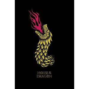 Umělecký tisk House of Dragon - Dragon's Fire, (26.7 x 40 cm)