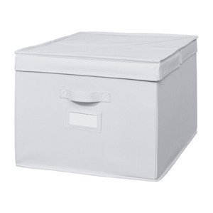 LIVARNO home Úložný box (box s víkem, šedý)