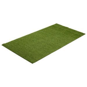 LIVARNO home Koberec s umělou trávou, 100 x 200 cm