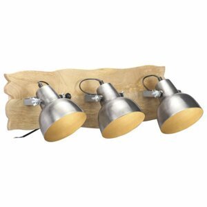 Nástěnná lampa mangovník / stříbrná Dekorhome