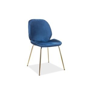 Jídelní židle ADRIEN Signal Modrá
