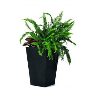 Květináč RATTAN PLANTER Keter 29x29x44 cm