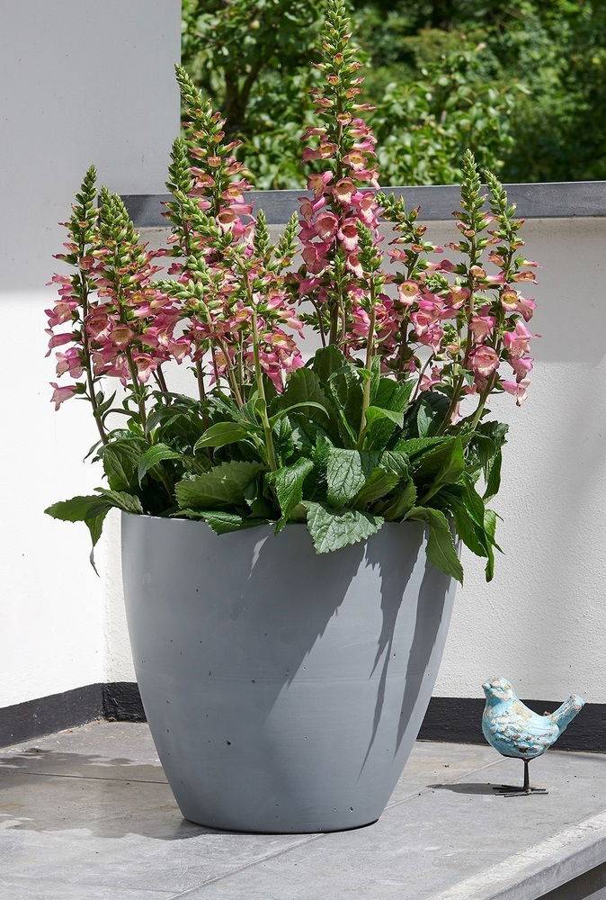 Květináč BETON PLANTER 53cm Stewart