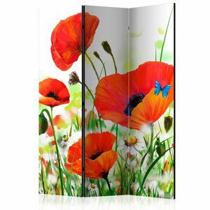 Paraván Country poppies Dekorhome 135x172 cm (3-dílný)