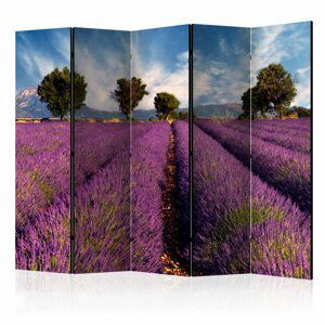 Paraván Lavender field in Provence, France Dekorhome 225x172 cm (5-dílný)