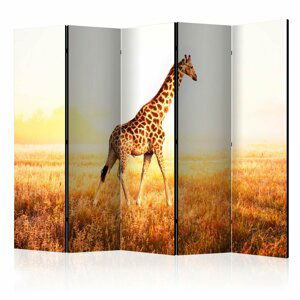 Paraván giraffe - walk Dekorhome 225x172 cm (5-dílný)