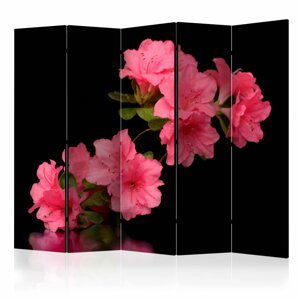 Paraván Azalea in Black Dekorhome 225x172 cm (5-dílný)