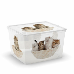 KIS Dekorační úložný box C-Box Puppy & Kitten Cube, 27 l