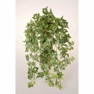 Umělý Břečťan závěsná dekorativní umělá rostlina, v. 50 cm