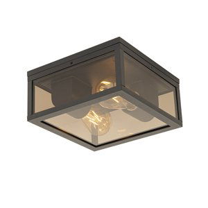 Plafondlamp zwart met smoke glas 2-lichts IP44 - Charlois