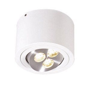 Stropní lampa Keoni bílá LED