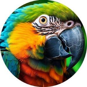 Jedlý papír papoušek 19,5cm - PICTURE