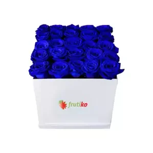 Bílá krabice modrých růží 25 ks