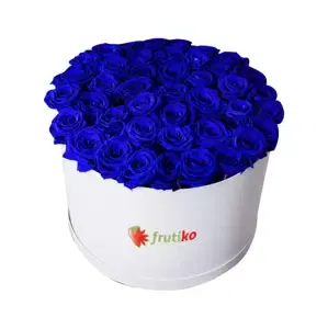 Modré růže bílá kulatá krabice 17 - 19 ks