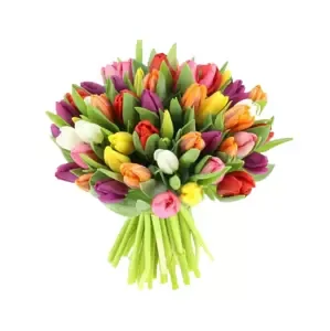 Barevné tulipány 20 Ks