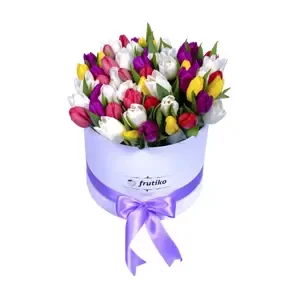 Bílá krabice tulipánů MIX 60 Ks
