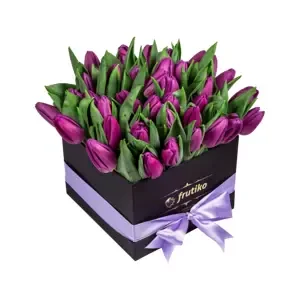 Černá Krabice Fialových Tulipánů 50 Ks