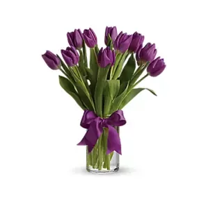 Fialové tulipány 20 Ks