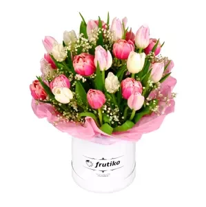 Bílo-růžové tulipány v krabici 20 Ks