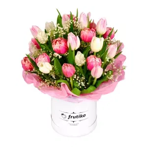 Bílo-růžové tulipány v krabici 40 Ks