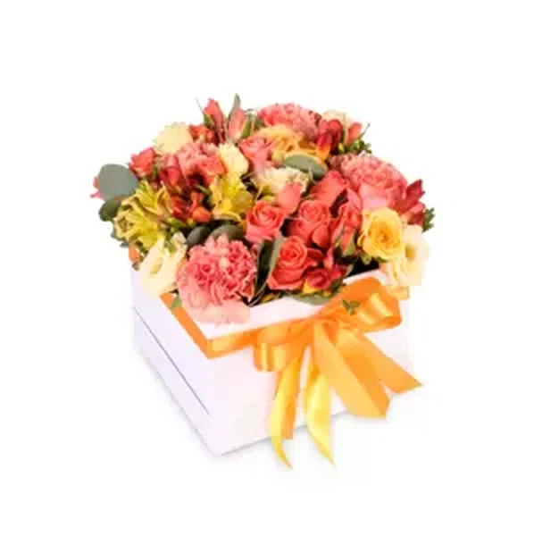Květinový box oranžový Standard