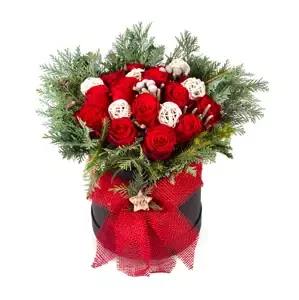 Vánoční krabička s růžemi Standard