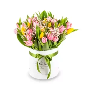Žluto-růžové tulipány v krabici 60 Ks