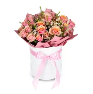 Růžové trsové růže box Standard