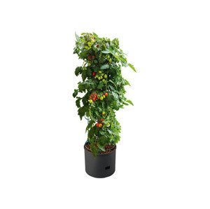 PARKSIDE® Květináč na rajčata, 20 l, 118 cm