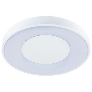 LIVARNO home Koupelnové LED svítidlo (bílá)