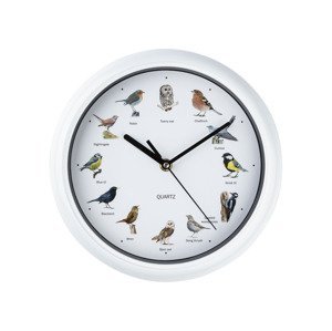 EASYmaxx Nástěnné hodiny s ptačími hlasy, Ø 25 cm (bílá)