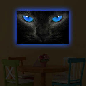 Nástěnný obraz s LED osvětlením CAT